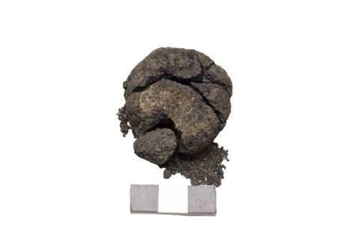 8600 Year Old Bread
