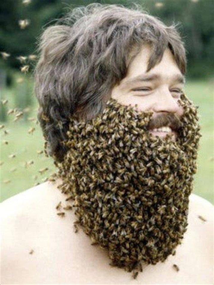 Bee Beard