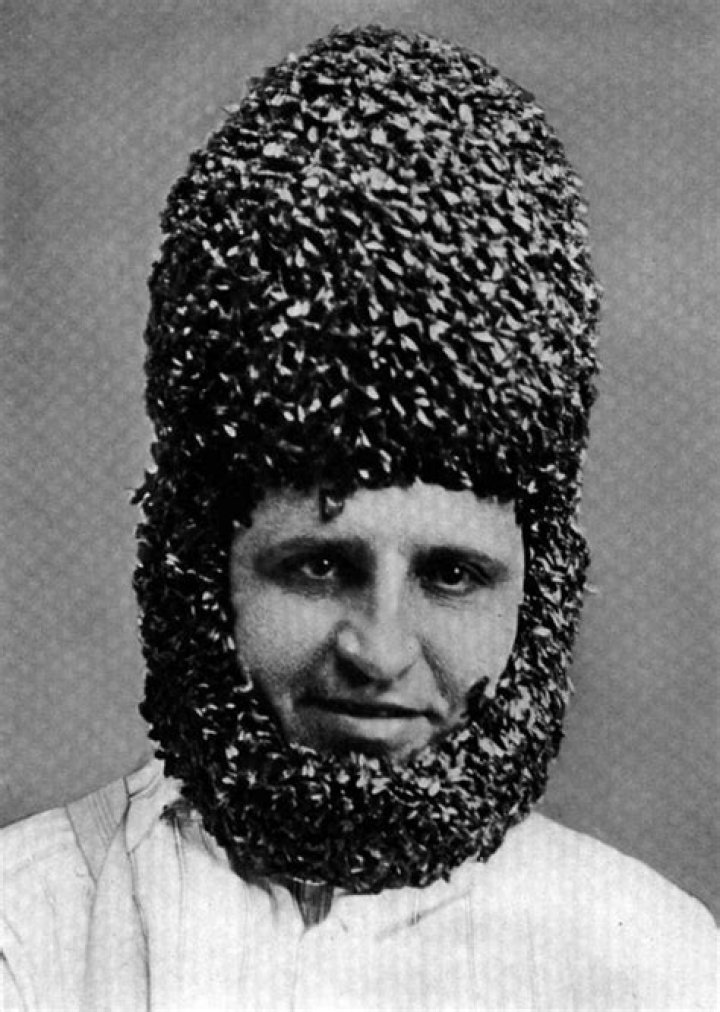 Bee Bearding Turban