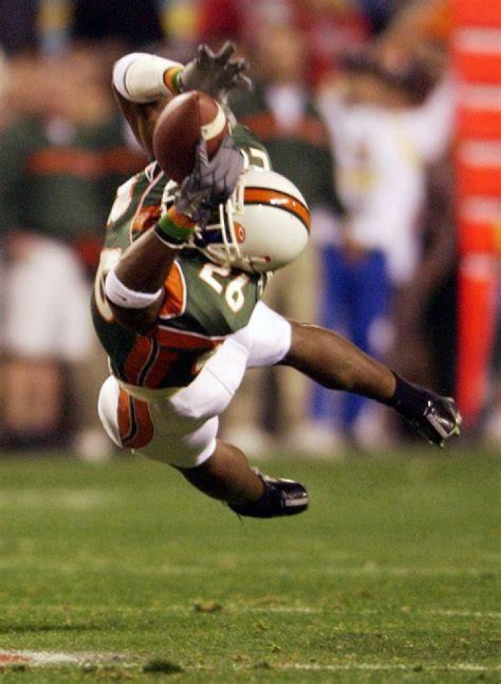 Sean Taylor Interception