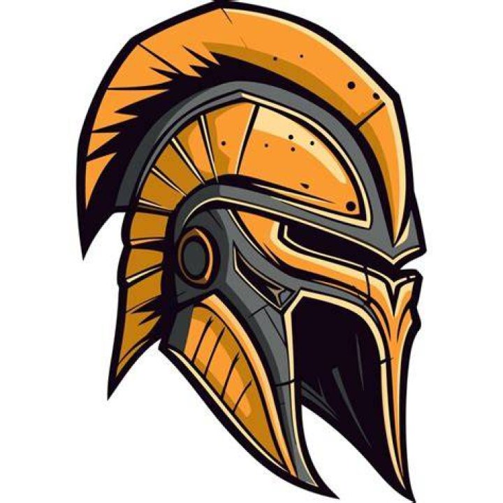 Warriors Helmet